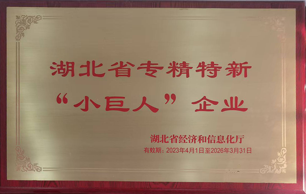 湖北省專精特新小巨人企業